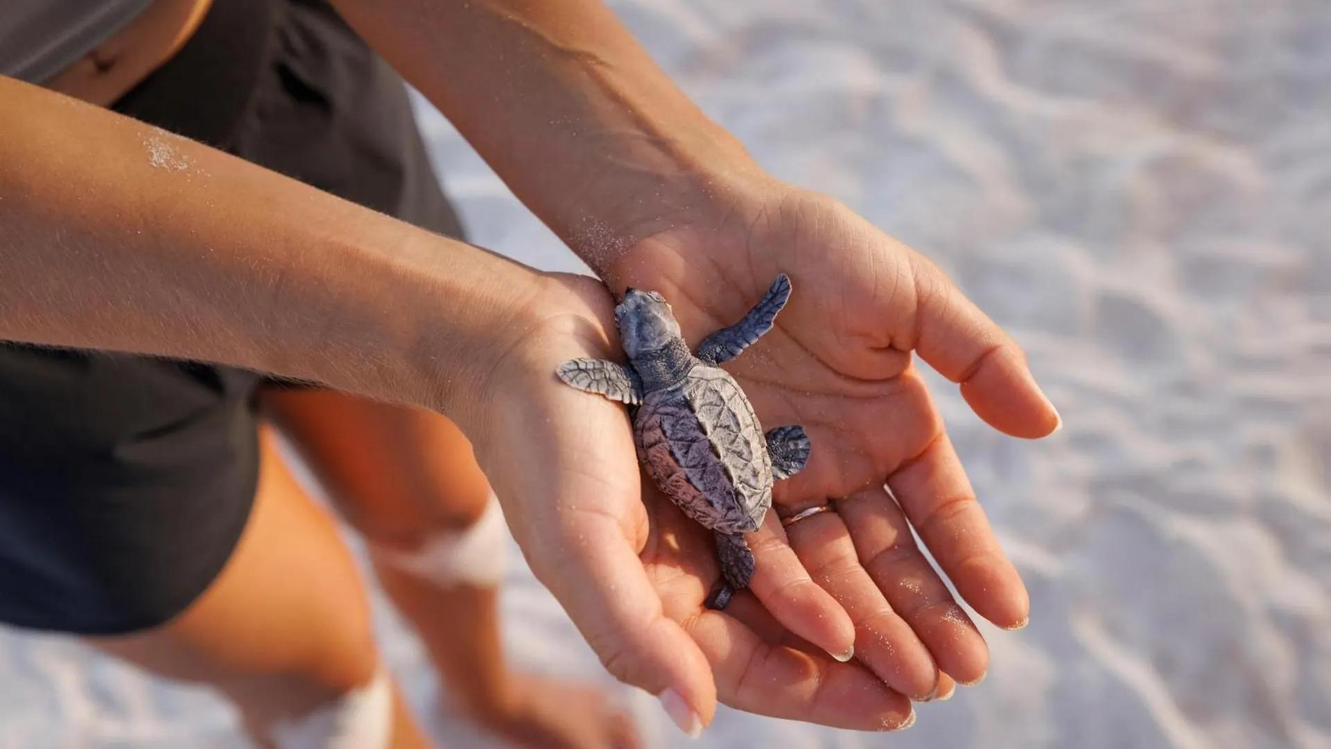 Sandals Barbados All Inclusive - Couples Only (Adults Only) Крайст-Черч Барбадос