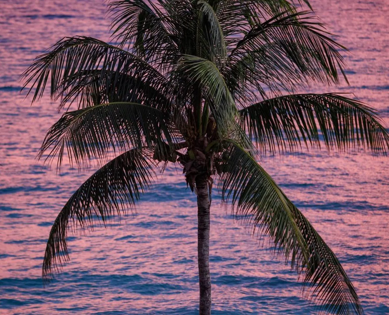 Sandals Barbados All Inclusive - Couples Only (Adults Only) Christchurch